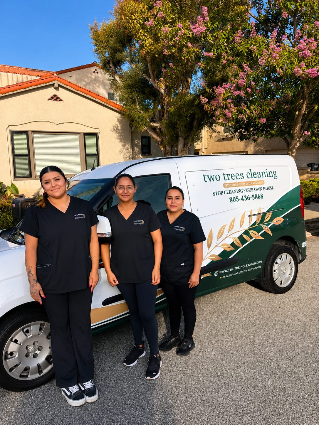Two Trees Cleaning team in front of the van